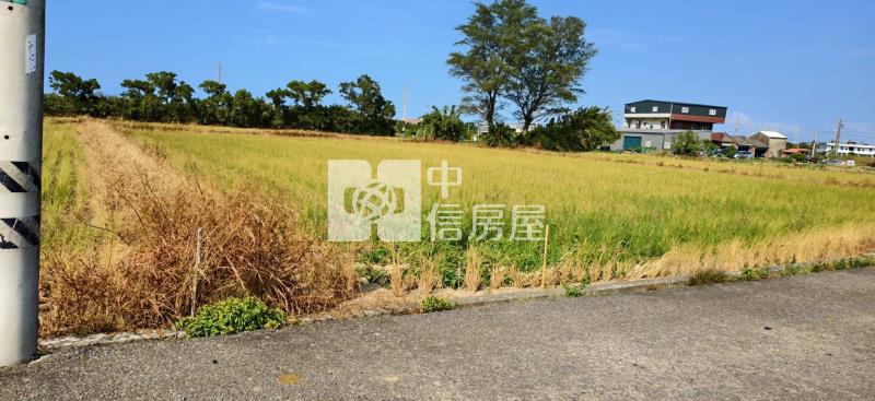 5W88桃園新屋農地房屋室內格局與周邊環境