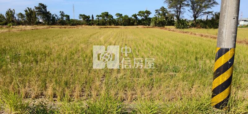 5W88桃園新屋農地房屋室內格局與周邊環境