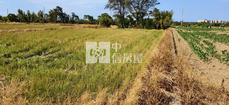 5W88桃園新屋農地房屋室內格局與周邊環境