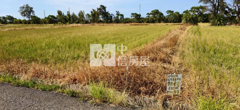 5W88桃園新屋農地房屋室內格局與周邊環境