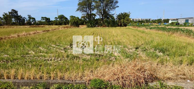 5W88桃園新屋農地房屋室內格局與周邊環境