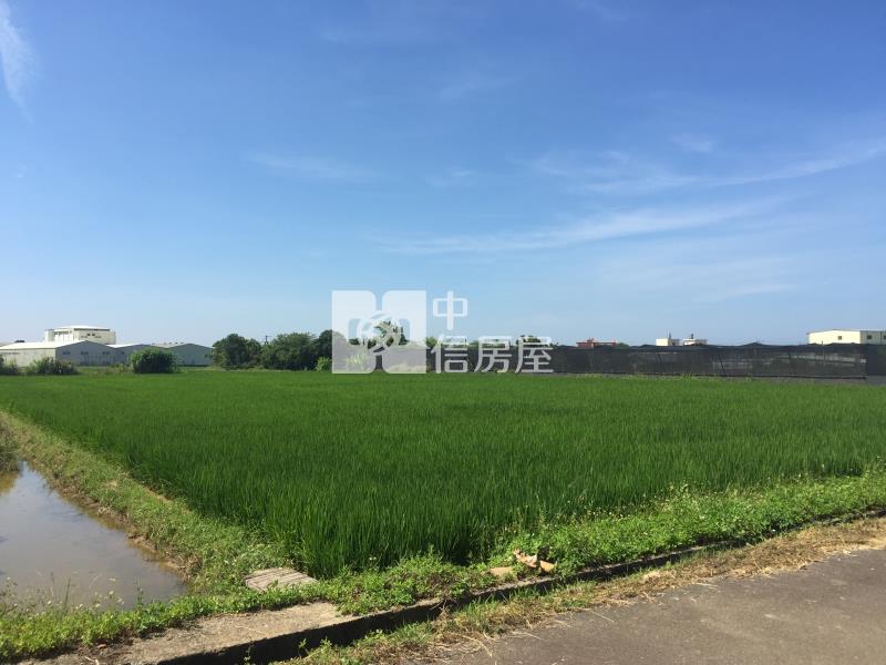 6U85新富車站方正美地房屋室內格局與周邊環境