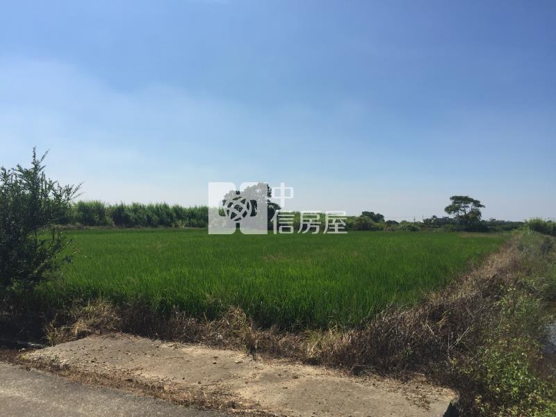 6U85新富車站方正美地房屋室內格局與周邊環境