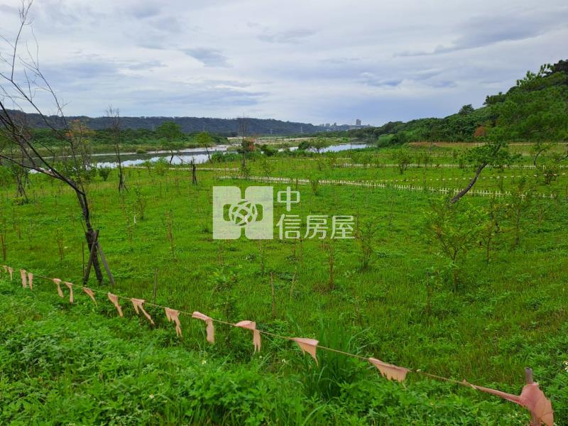 專任-大溪金澤社區(田園風景區)房屋室內格局與周邊環境