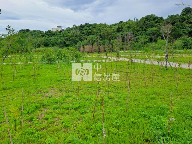專任-大溪金澤社區(田園風景區)房屋室內格局與周邊環境