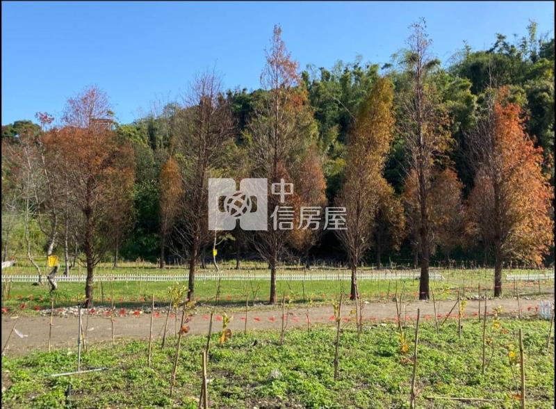 專任-大溪金澤社區(田園風景區)房屋室內格局與周邊環境