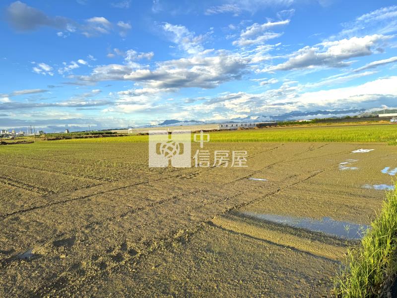 新市東大社雙面臨路特農房屋室內格局與周邊環境