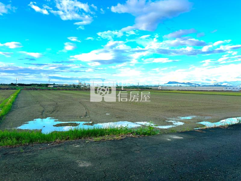 新市東大社雙面臨路特農房屋室內格局與周邊環境