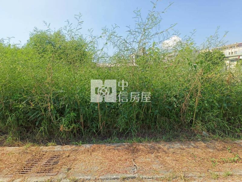臨台17線都內農地房屋室內格局與周邊環境