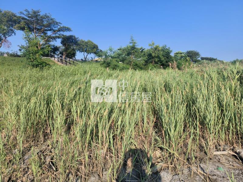 仁德二仁溪旁休閒農地房屋室內格局與周邊環境