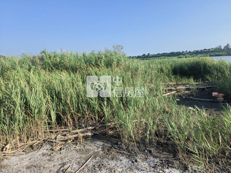 仁德二仁溪旁休閒農地房屋室內格局與周邊環境