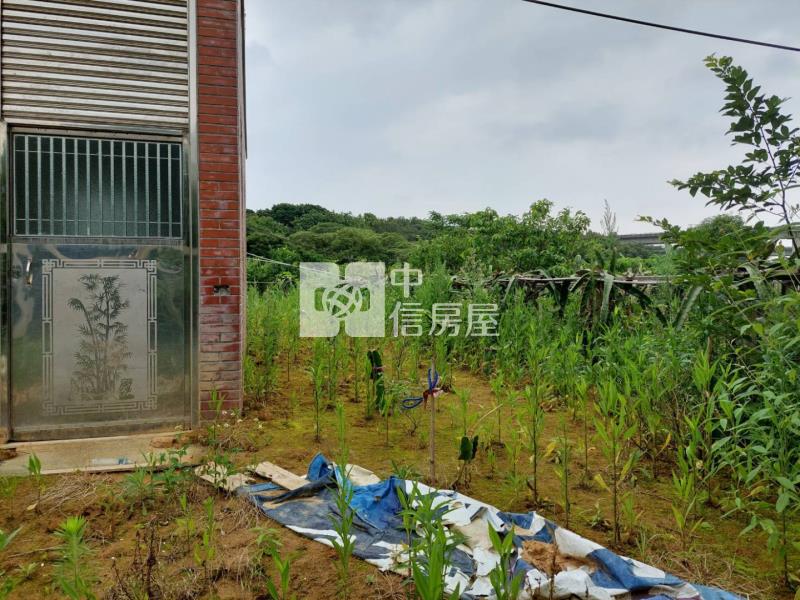 復旦都計內合法資材室房屋室內格局與周邊環境