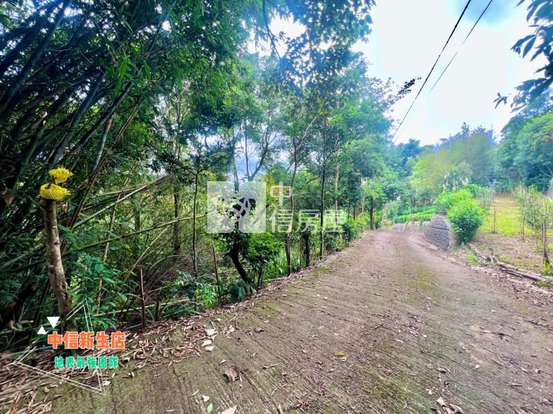 新埔115縣道渡假山莊小坪數休閒林地(B)房屋室內格局與周邊環境