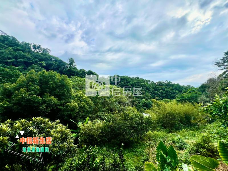 新埔115縣道渡假山莊小坪數休閒林地(B)房屋室內格局與周邊環境