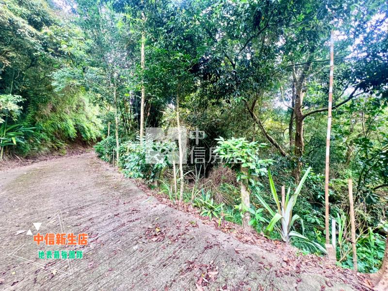 新埔115縣道渡假山莊小坪數休閒林地(C)房屋室內格局與周邊環境
