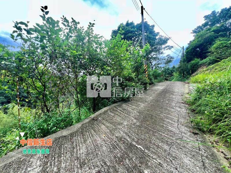 新埔115縣道渡假山莊小坪數休閒林地(D)房屋室內格局與周邊環境
