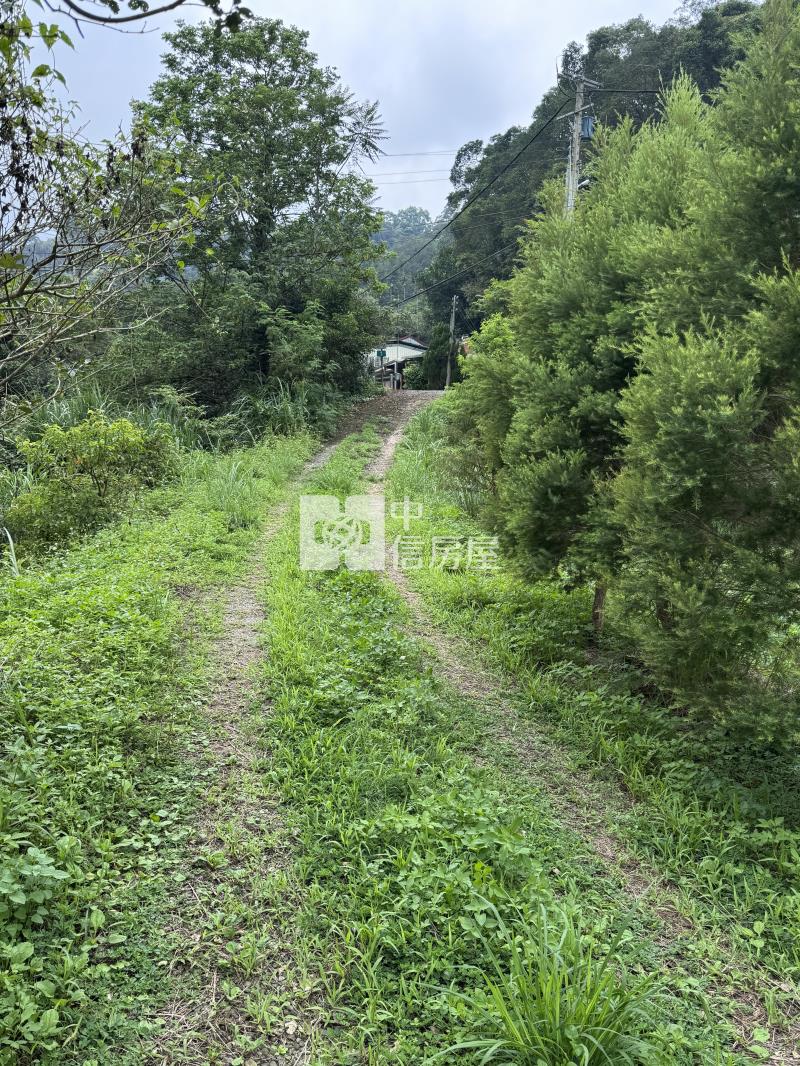 專-北埔臨路溪畔果園秘境房屋室內格局與周邊環境