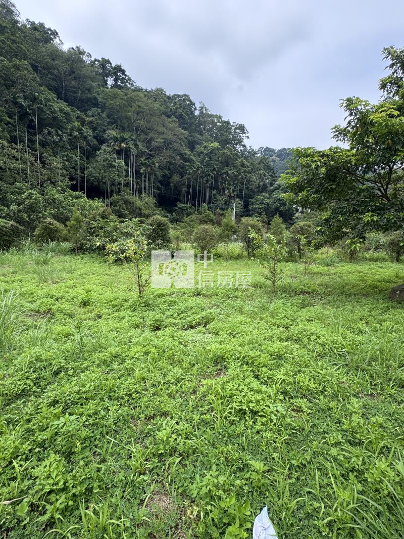 專-北埔臨路溪畔果園秘境房屋室內格局與周邊環境