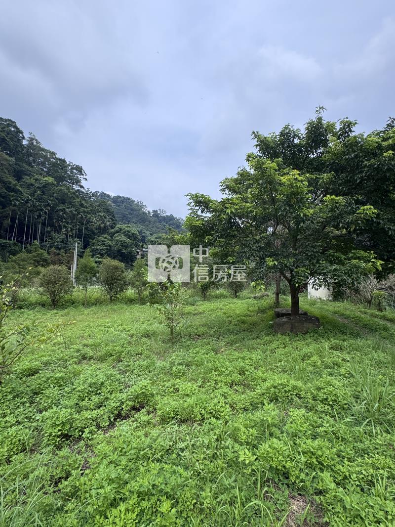 專-北埔臨路溪畔果園秘境房屋室內格局與周邊環境