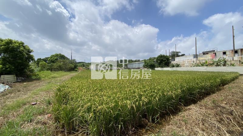 專-六和高中大農地房屋室內格局與周邊環境
