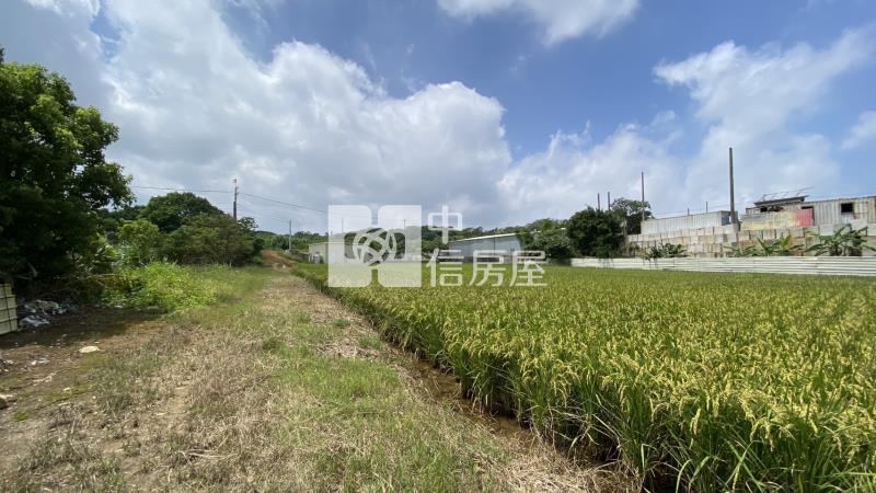 專-六和高中大農地房屋室內格局與周邊環境