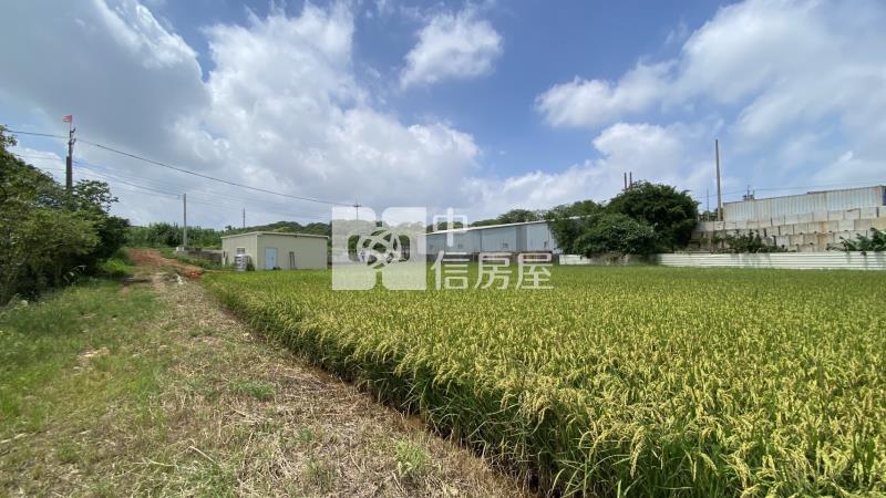 專-六和高中大農地房屋室內格局與周邊環境