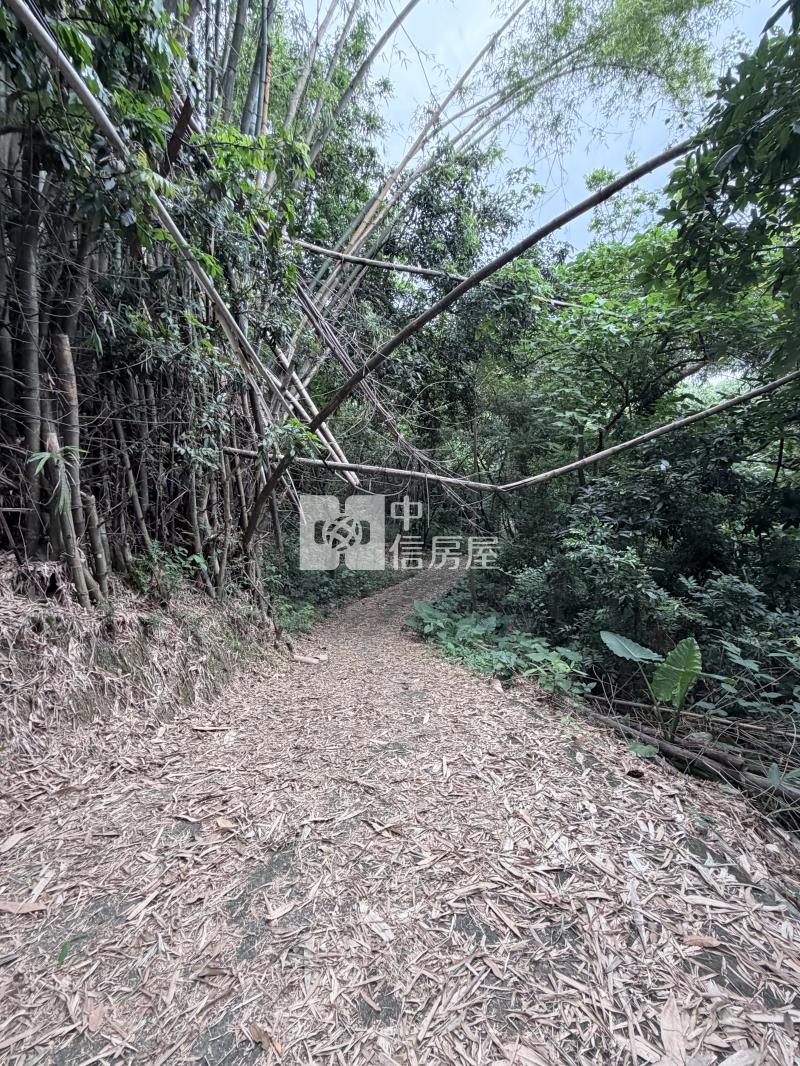 九九峰農地房屋室內格局與周邊環境
