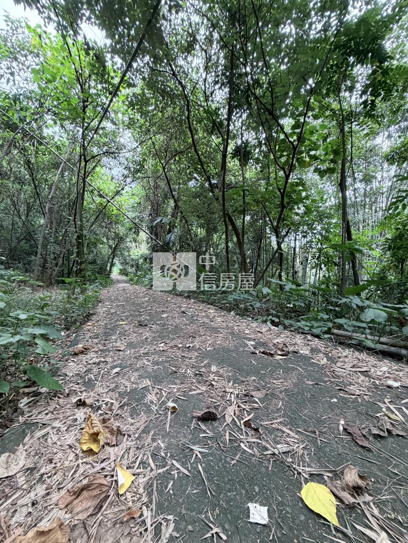 九九峰農地房屋室內格局與周邊環境