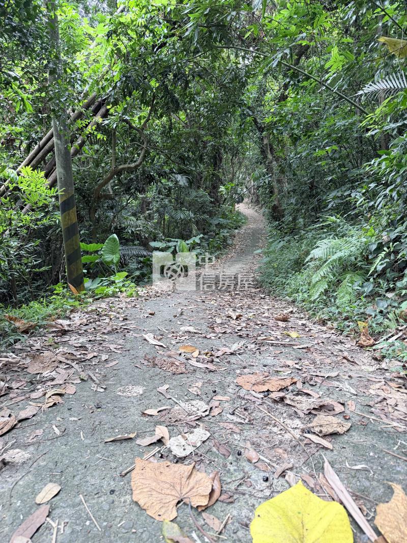九九峰農地房屋室內格局與周邊環境