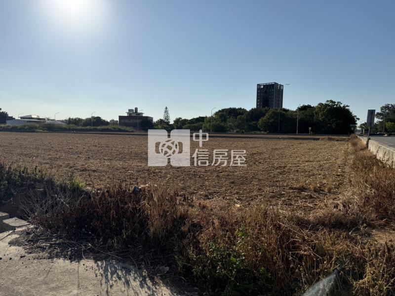 正月桃路美農地房屋室內格局與周邊環境