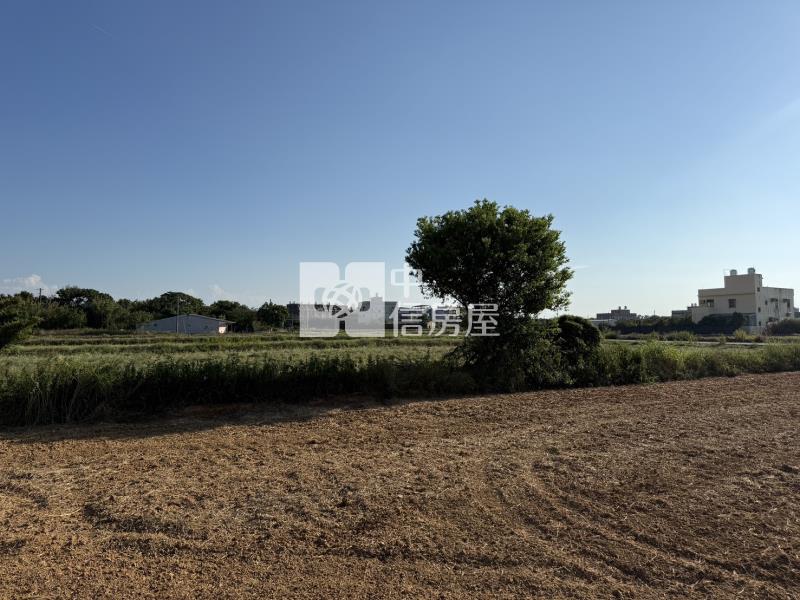 正月桃路美農地房屋室內格局與周邊環境