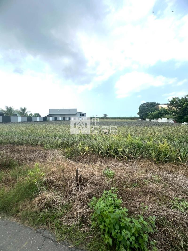 歸仁社區旁543坪持分農地房屋室內格局與周邊環境