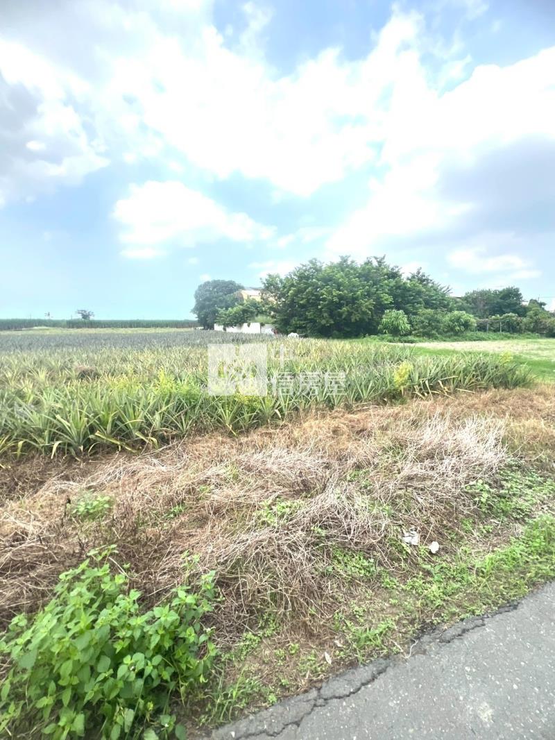 歸仁社區旁543坪持分農地房屋室內格局與周邊環境