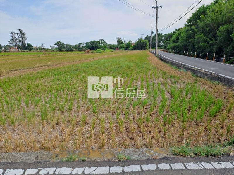 大園近月眉山東農地房屋室內格局與周邊環境