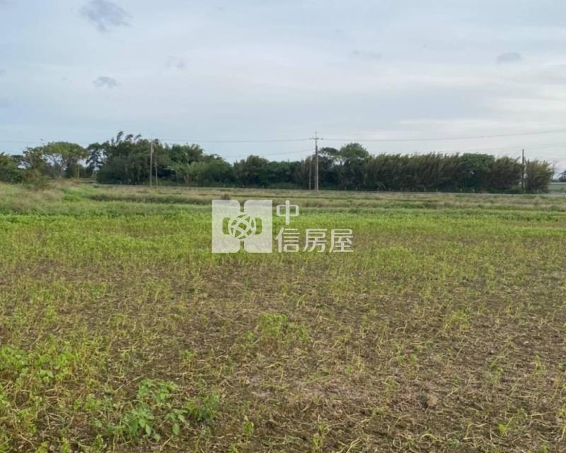 大園月眉山東農地房屋室內格局與周邊環境