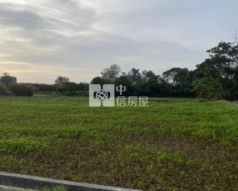 大園月眉山東農地房屋室內格局與周邊環境