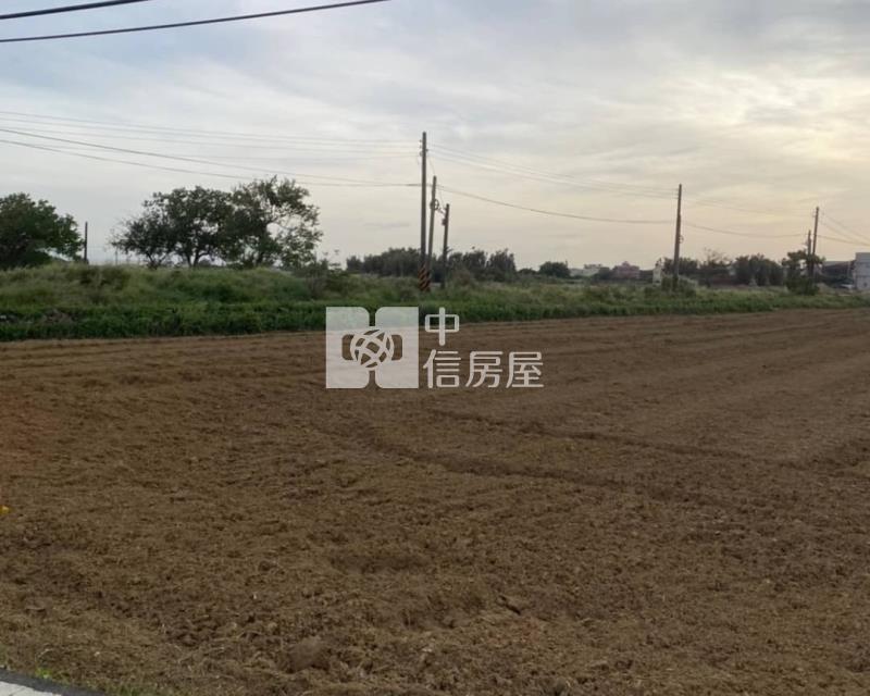 大園月眉山東農地房屋室內格局與周邊環境