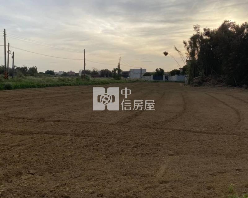 大園月眉山東農地房屋室內格局與周邊環境