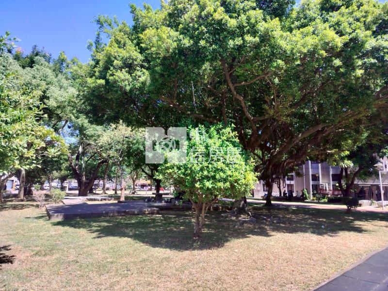 更寮腳全新整理平房房屋室內格局與周邊環境