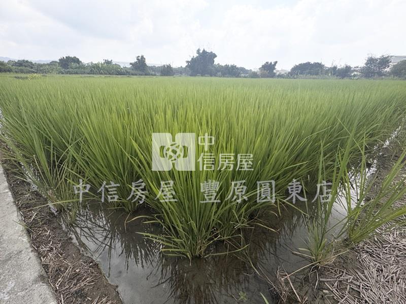 后里方正農地房屋室內格局與周邊環境