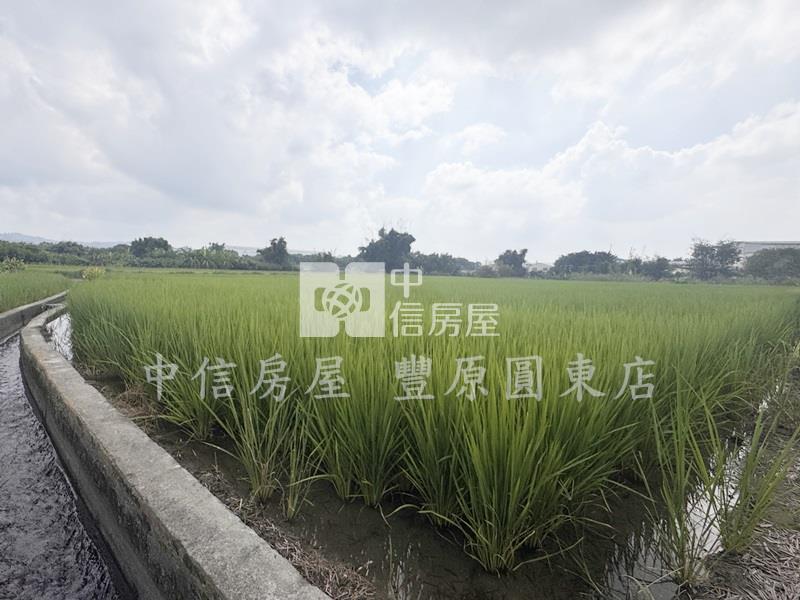 后里方正農地房屋室內格局與周邊環境