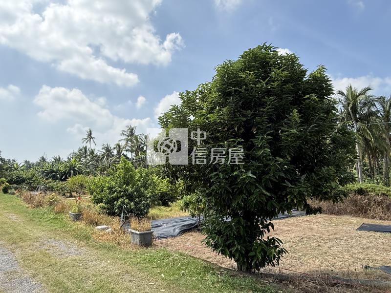 屏東土地《長治冠迪豪宅區都農-三角窗》房屋室內格局與周邊環境