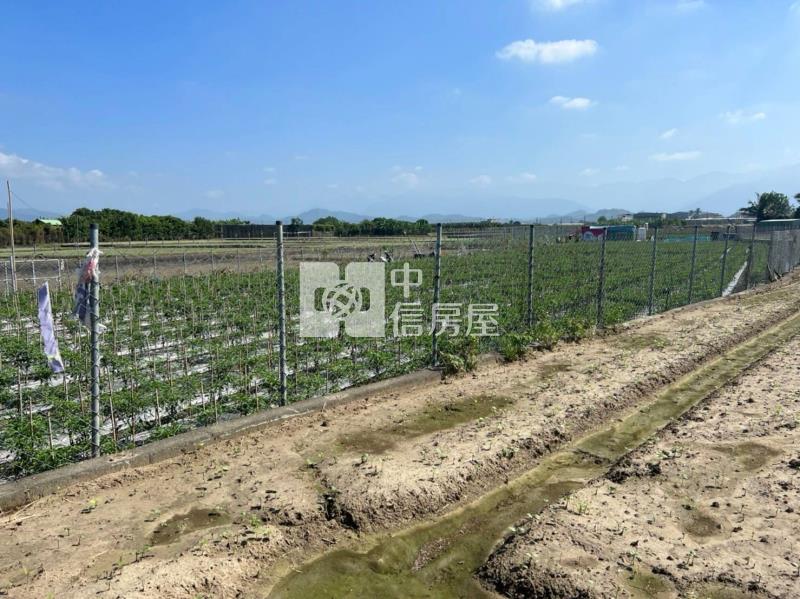 美濃吉安段臨路超值農地房屋室內格局與周邊環境