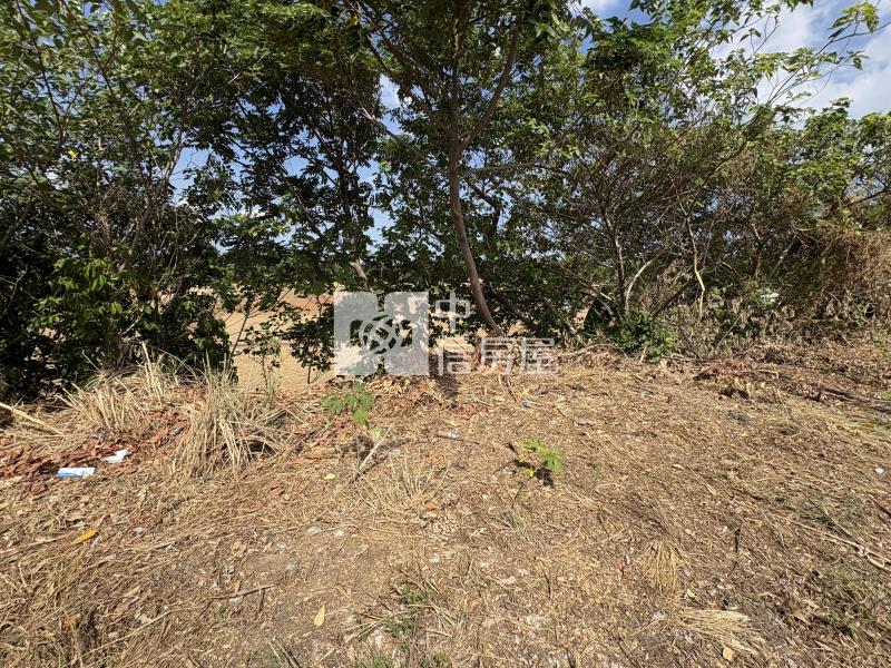 近文中路交流道農+建房屋室內格局與周邊環境
