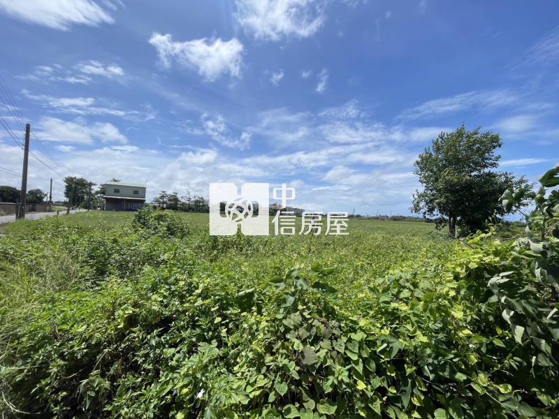 佳里優質農建地房屋室內格局與周邊環境
