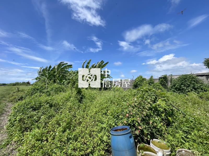 佳里優質農建地房屋室內格局與周邊環境