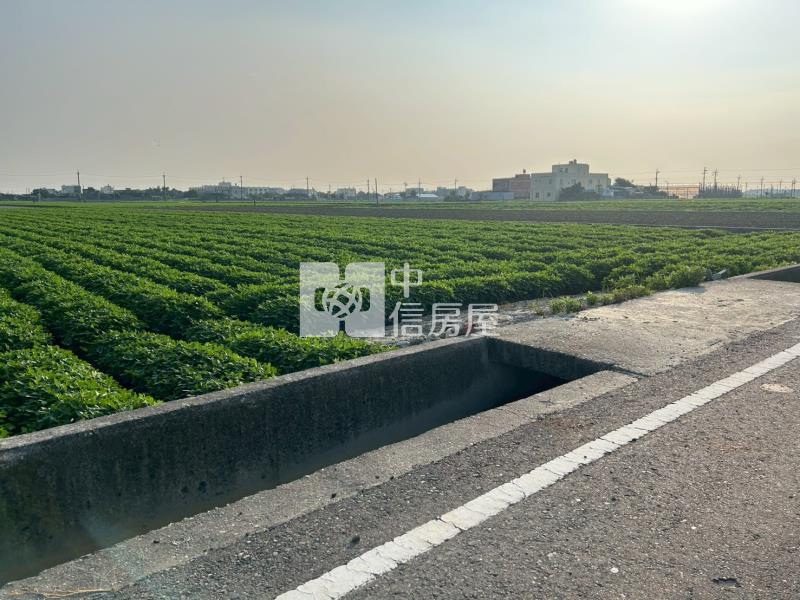 山寮農地房屋室內格局與周邊環境