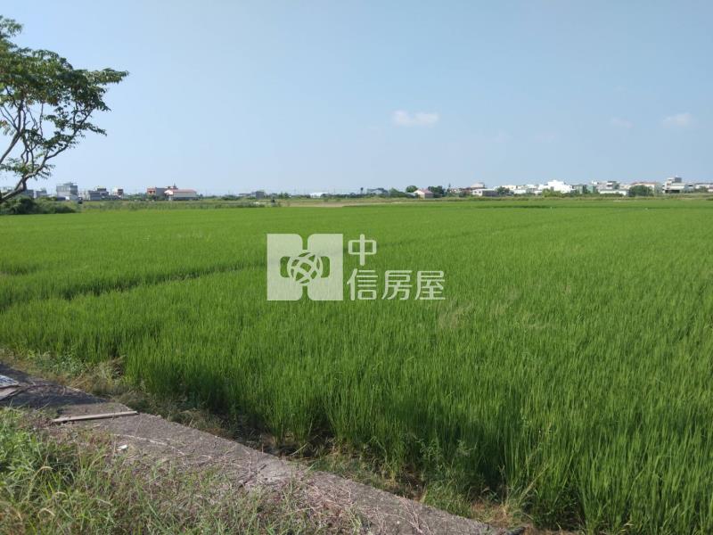 後壁區方正農地房屋室內格局與周邊環境