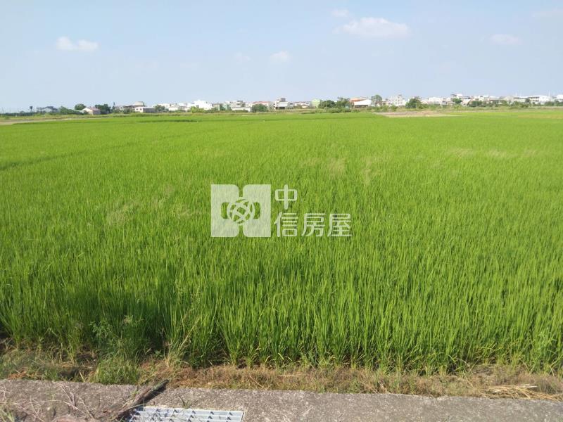 後壁區方正農地房屋室內格局與周邊環境