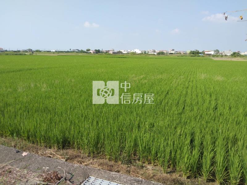 後壁區方正農地房屋室內格局與周邊環境